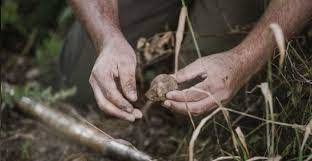 Avviso per la presentazione telematica delle domande di indennità per la conservazione del
patrimonio tartufigeno regionale